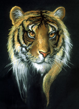 Eye_of_Tiger