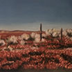 Fields