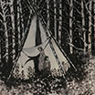 Tipi